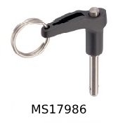 MS17986