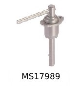 MS17989